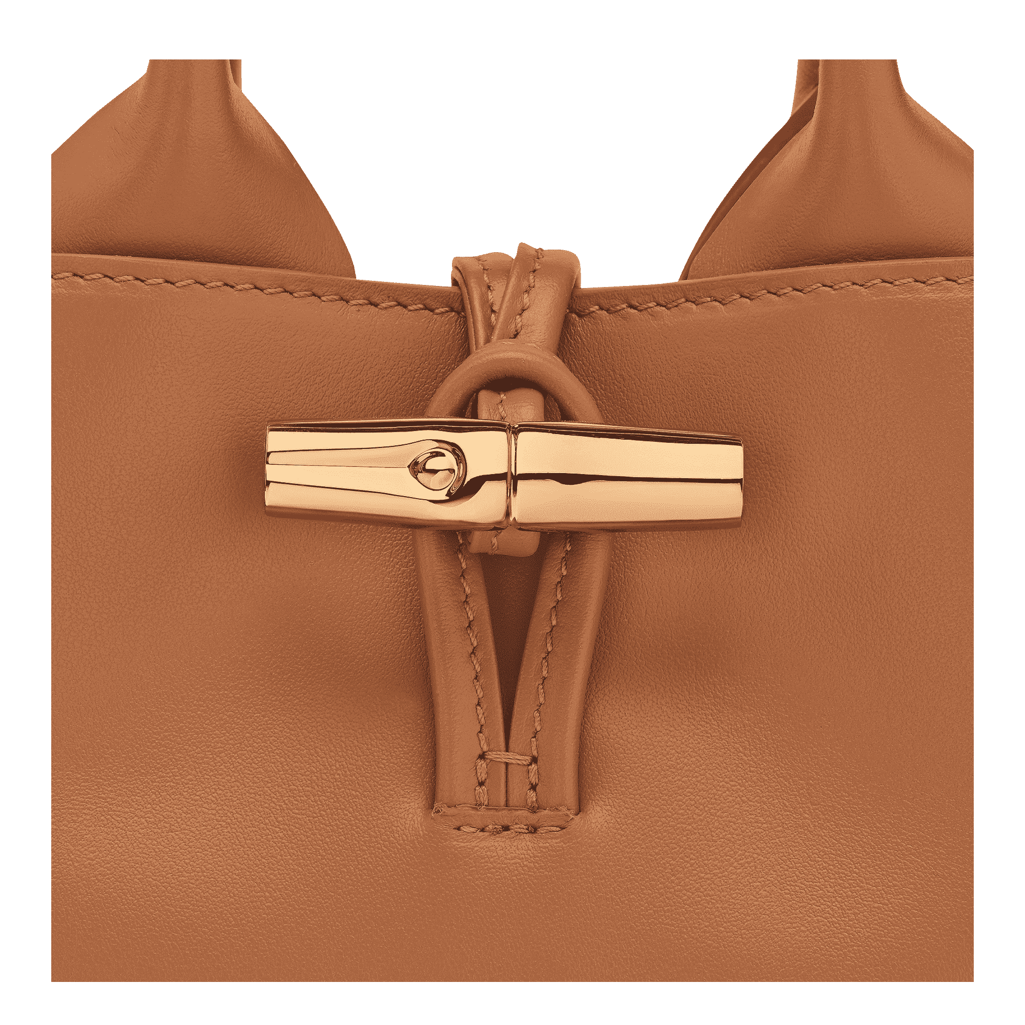 Le Roseau XS Handbag