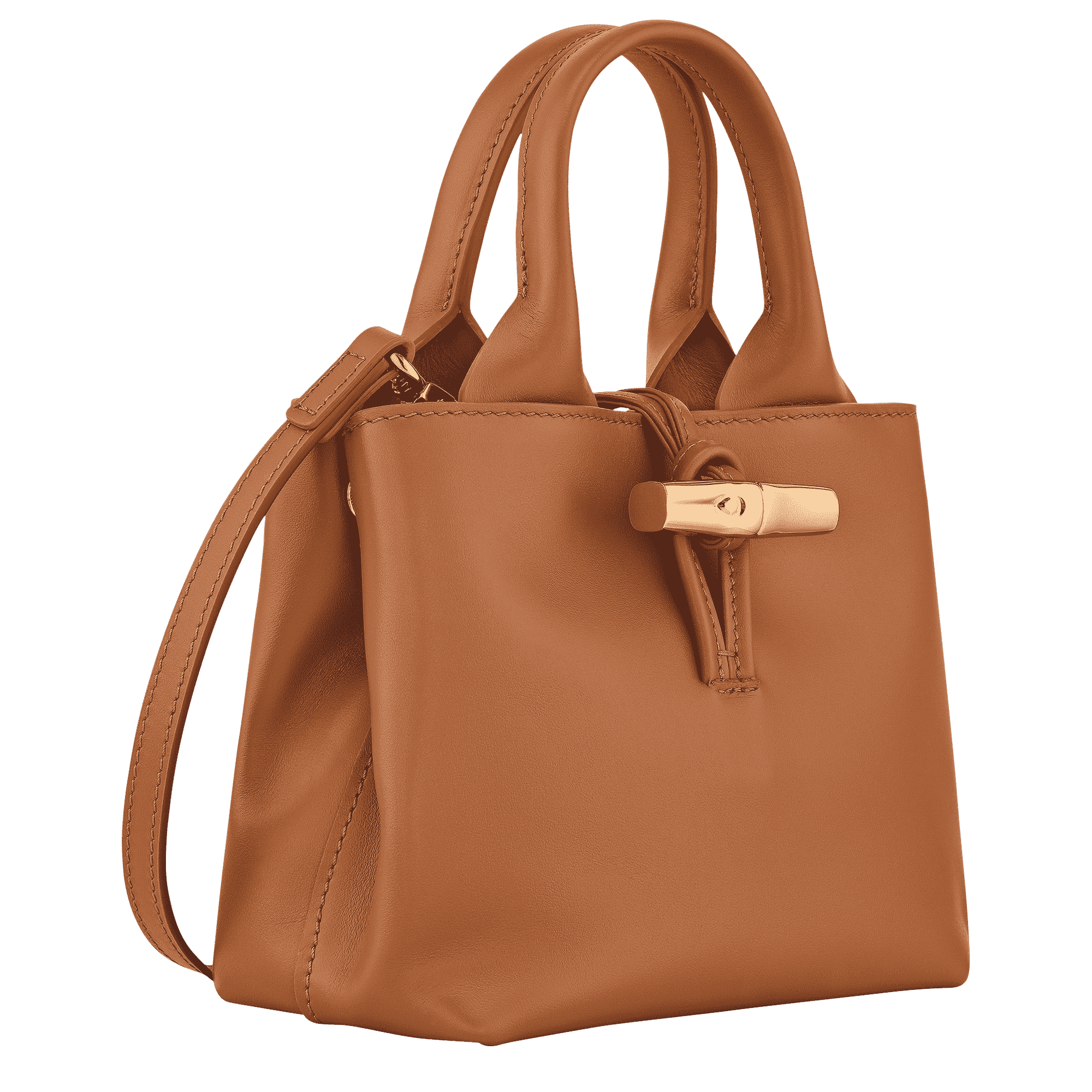 Le Roseau XS Handbag
