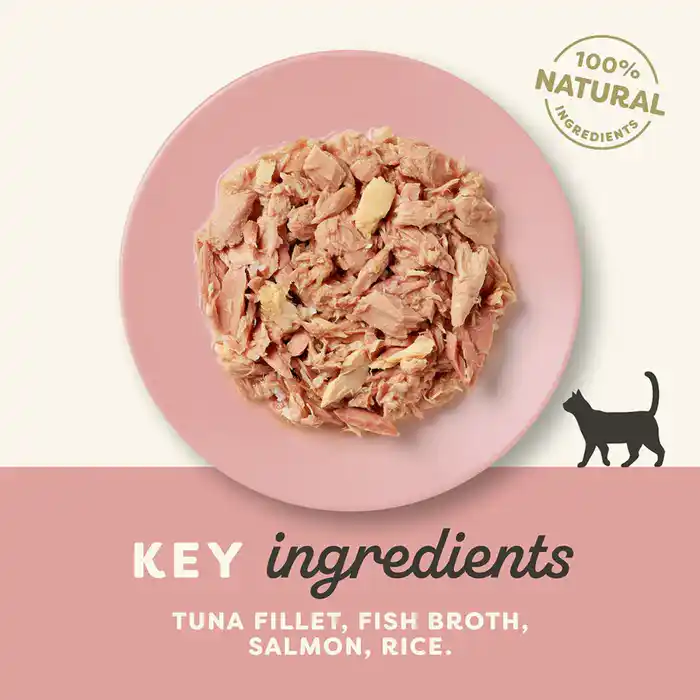 Applaws Cat Wet Food Tin Tuna Fillet with Salmon in Broth 70g
