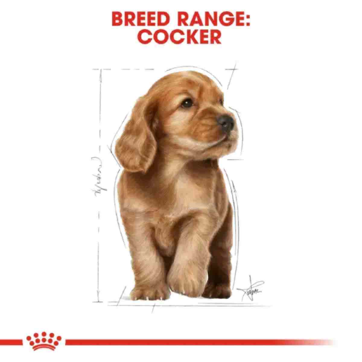 Royal Canin Cocker Puppy Dry Dog Food