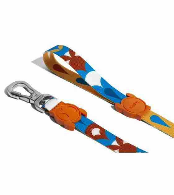 Zee.dog Yansun Leash for Dogs
