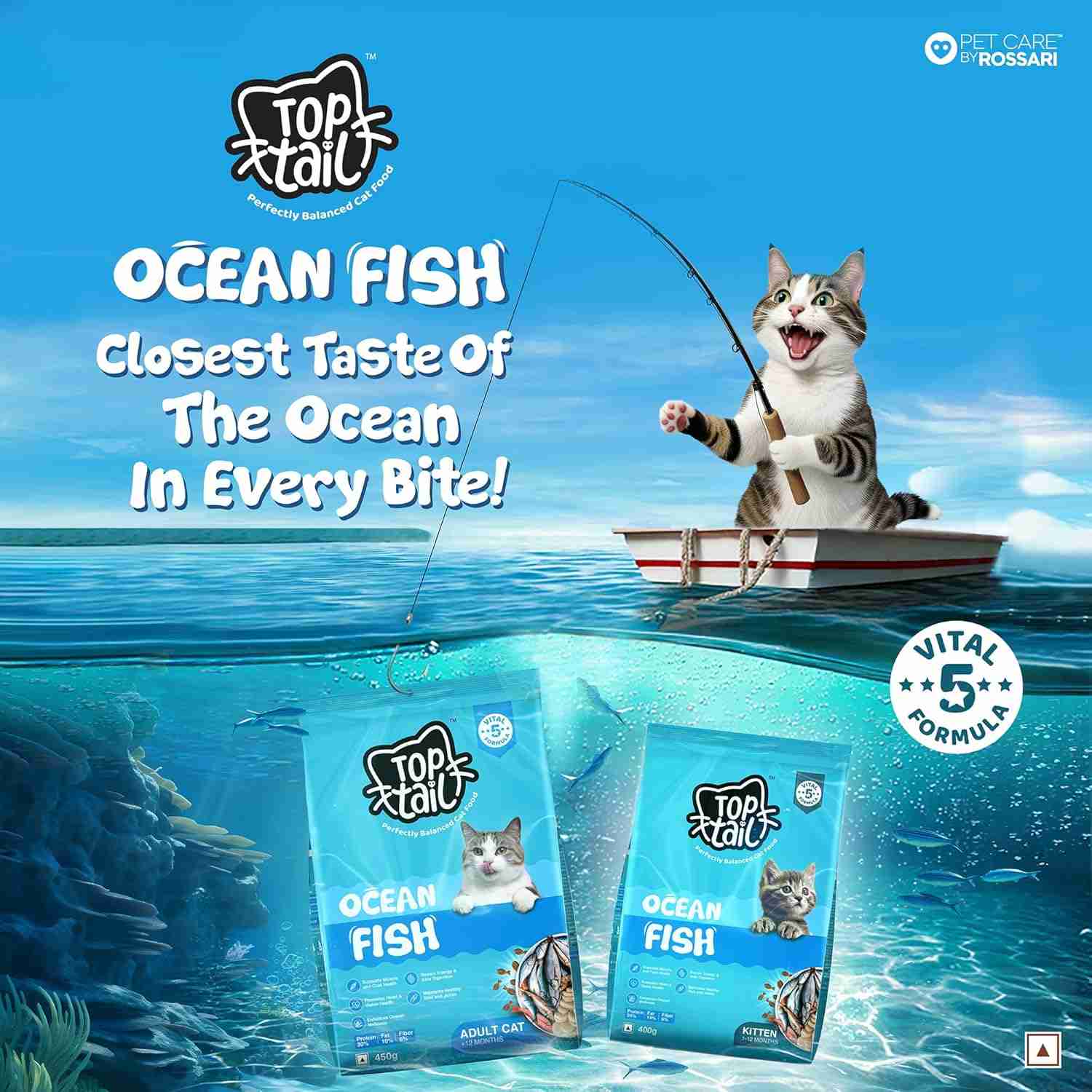 Top tail Kitten Ocean Fish Dry Food for Cats