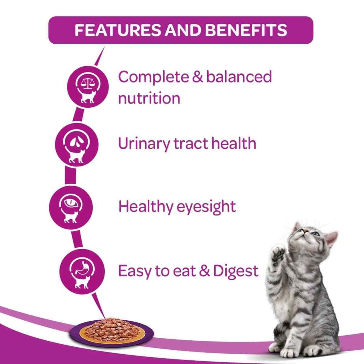 Whiskas Ocean Fish in Gravy Wet Adult Cat (+1 year) Food, 80g