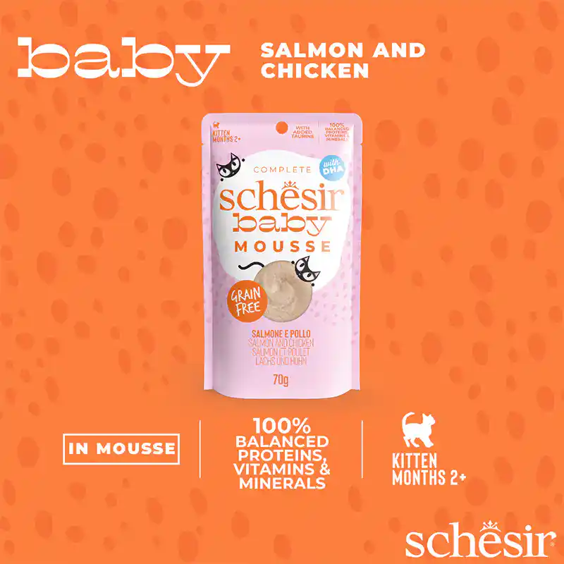 Schesir Baby Mousse Kitten Salmon & Chicken Wet Cat Food Can, 70g