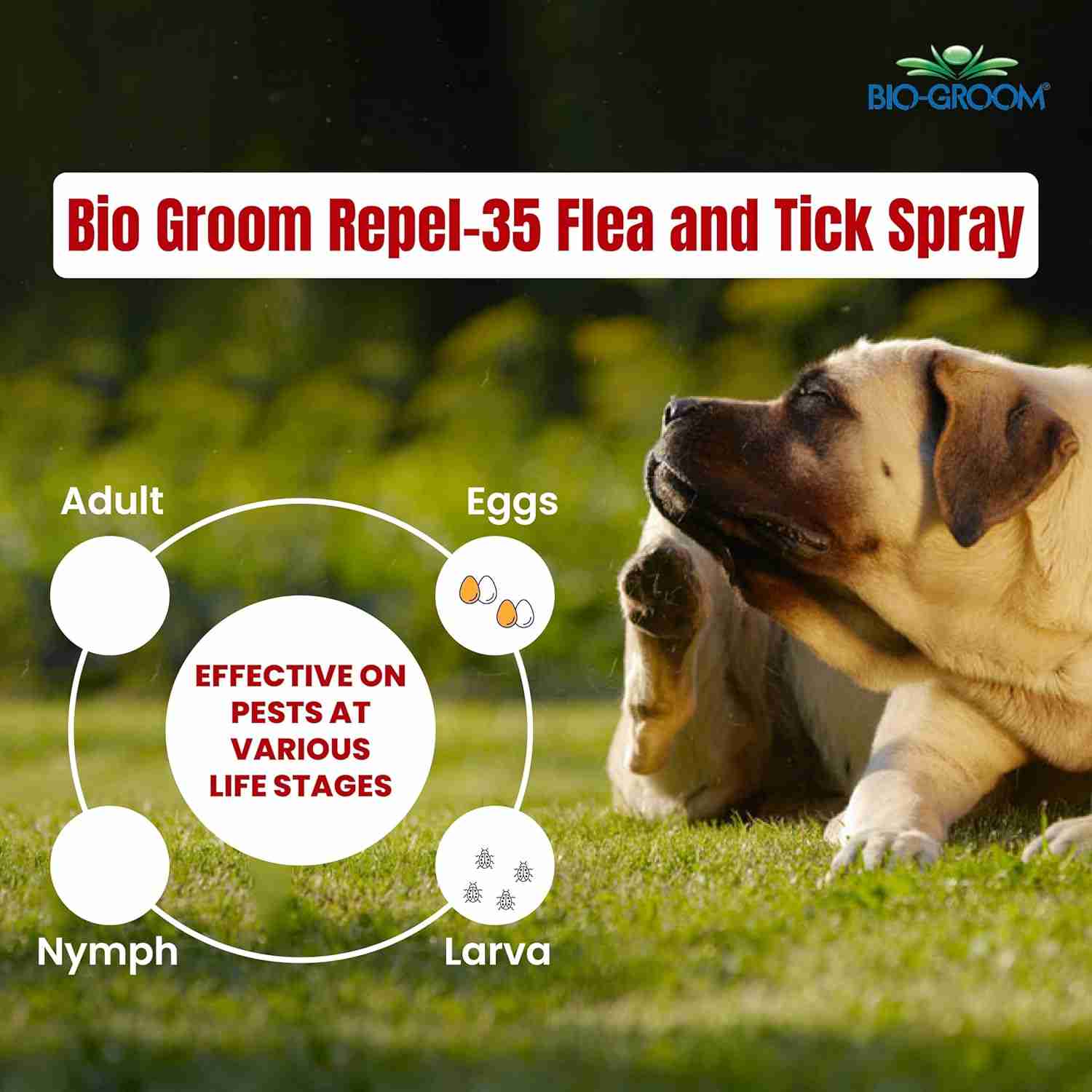 Bio-Groom Repel 35 Flea and Tick Spray for Dogs 236ml