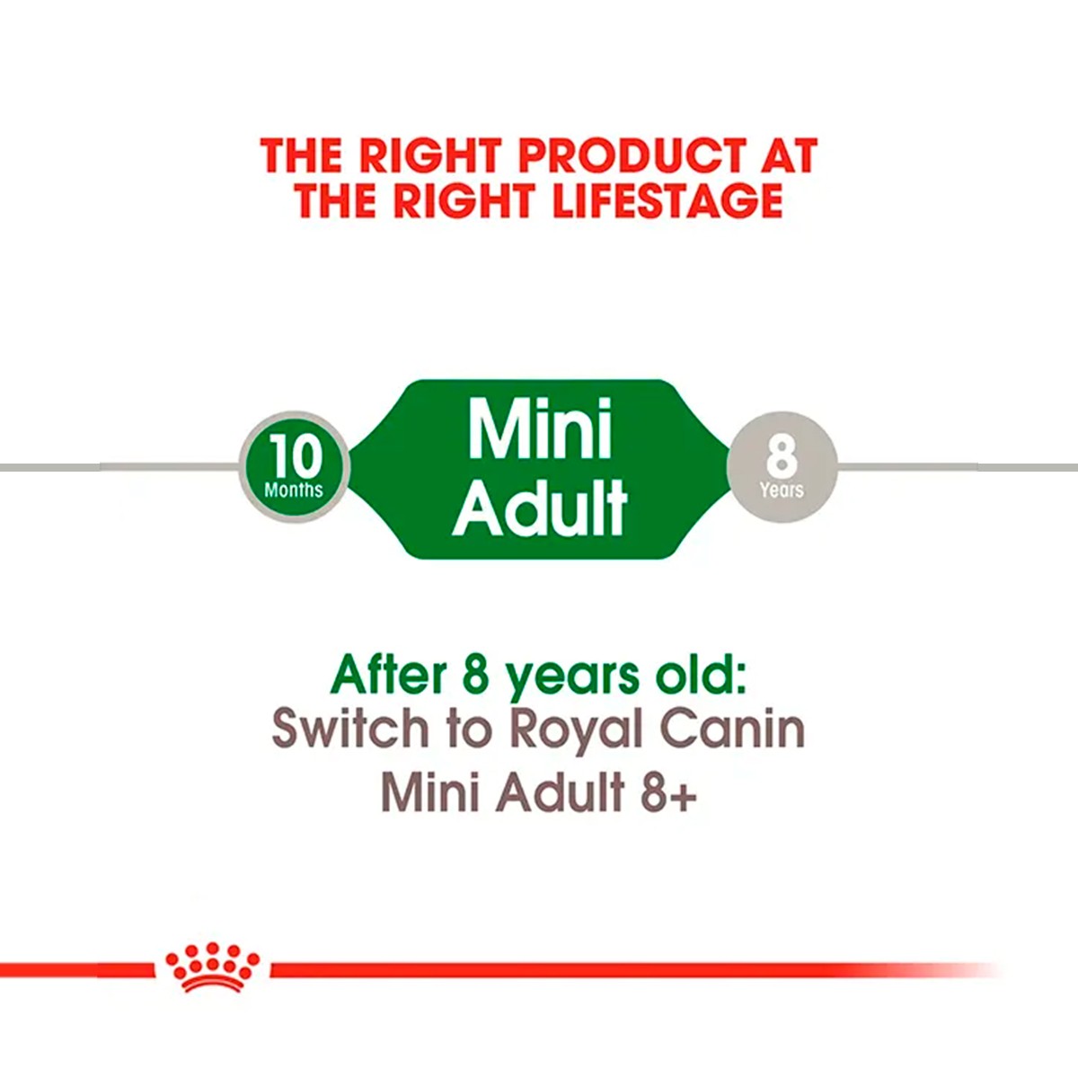 Royal Canin Mini Adult Dry Dog Food