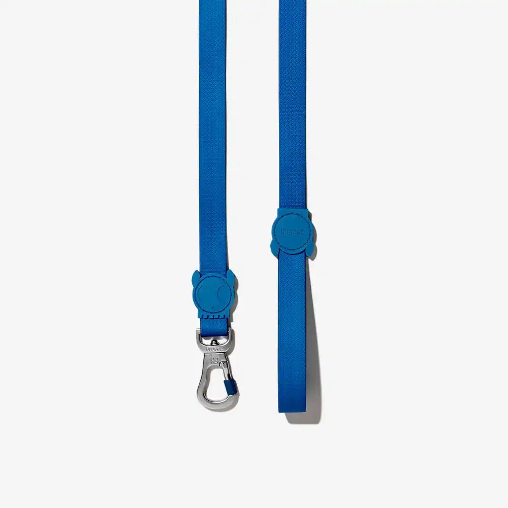 Zee.Dog Neopro Blue Leash for Dogs
