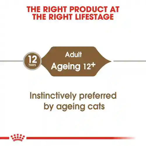 Royal Canin Ageing +12 Adult Cat Wet Food, 85g