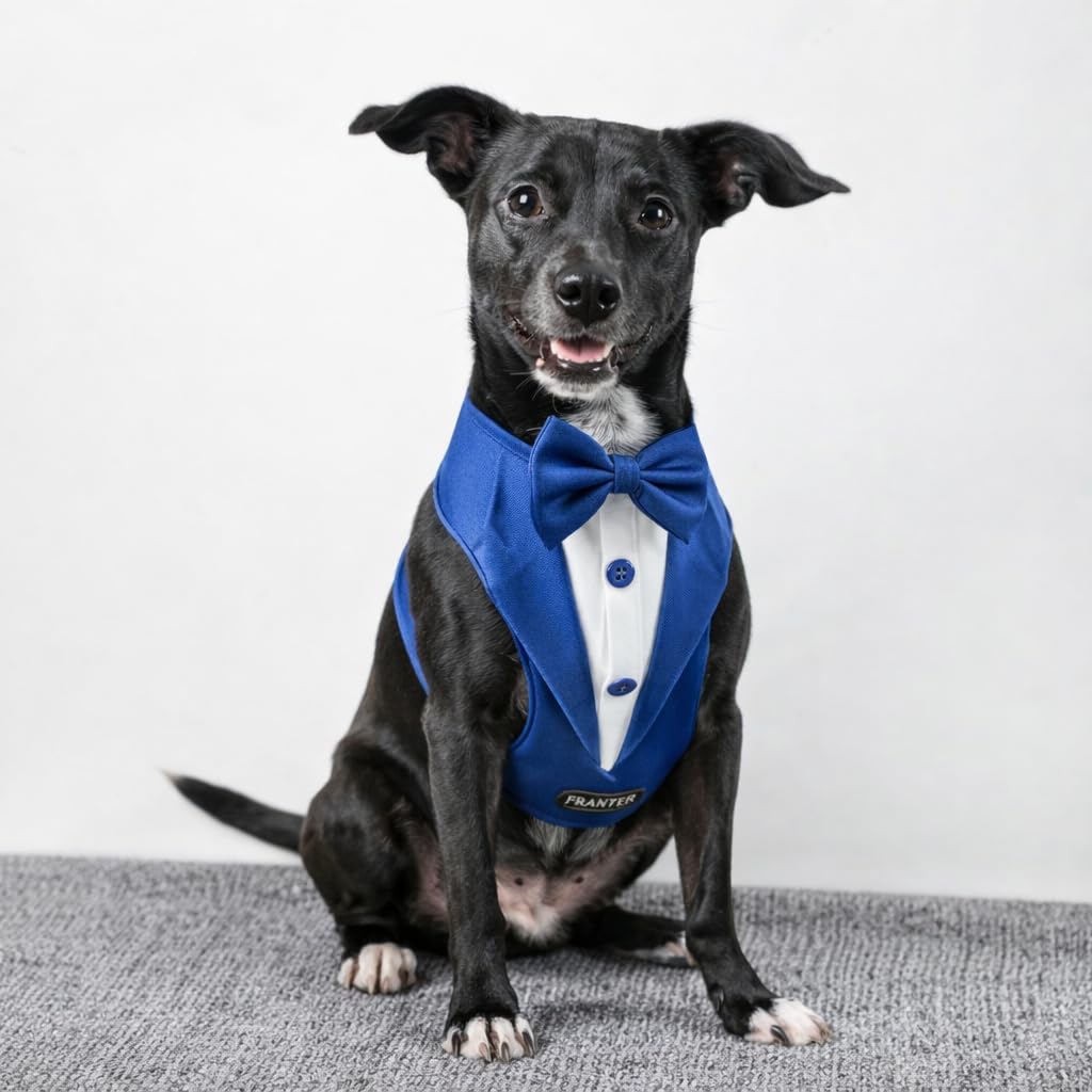 Waggety Tuxedo Dog Harness, (Blue & White)