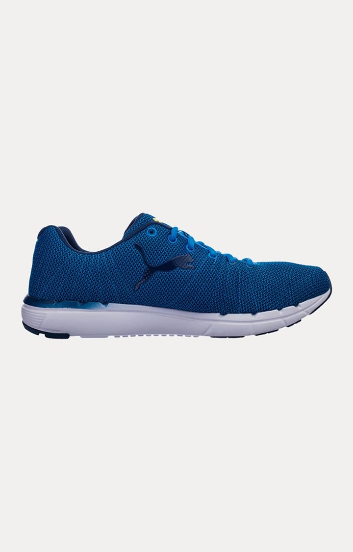 Cloisonne and Poseidon Running Shoes