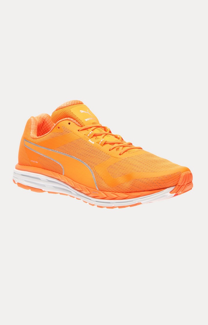 Speed 500 IGNITE NIGHTCAT