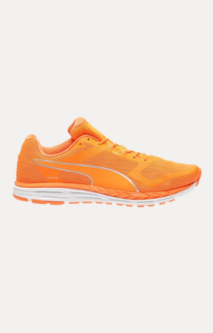 Speed 500 IGNITE NIGHTCAT