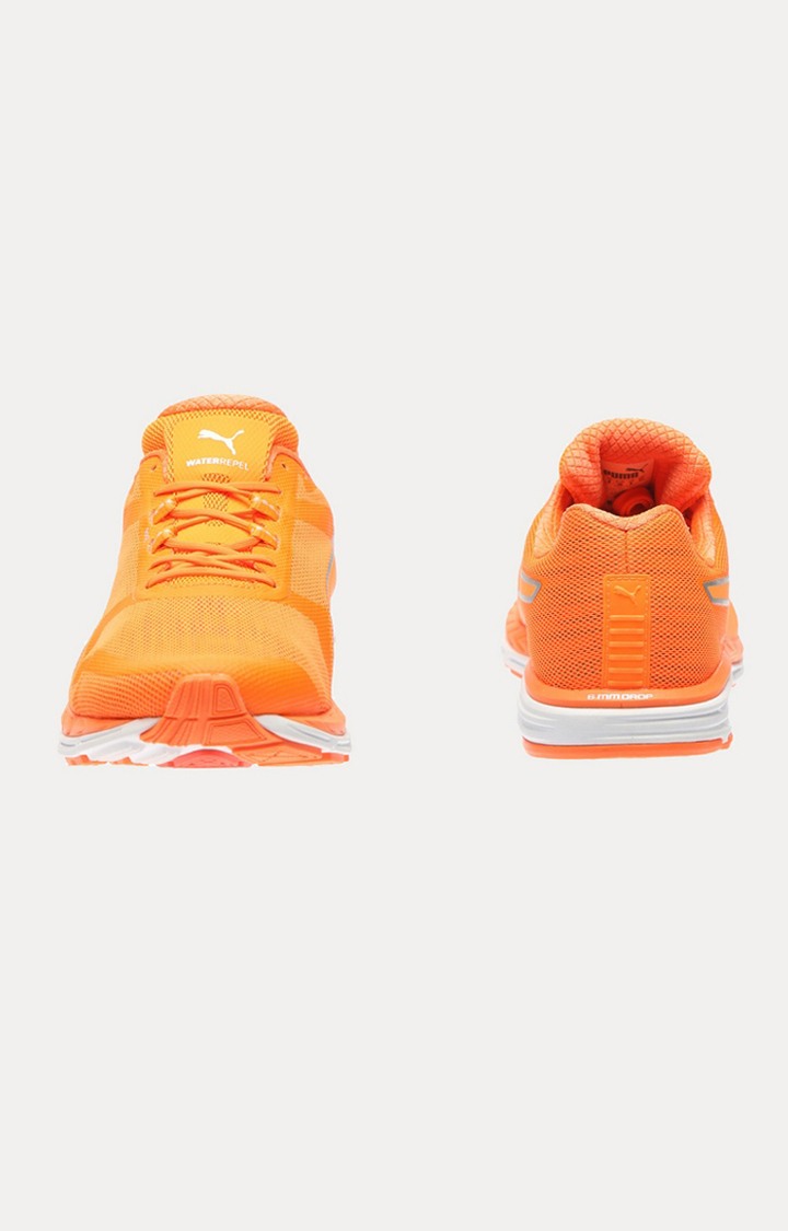 Puma speed 500 ignite nightcat hotsell