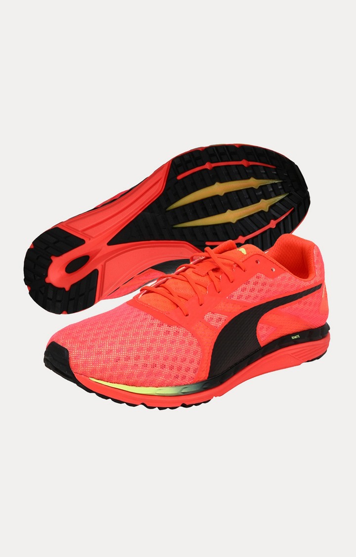 Speed 300 IGNITE 3 Puma