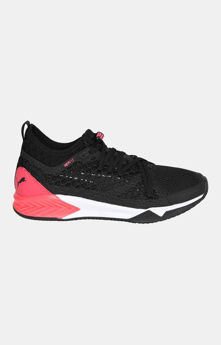 Ignite xt netfit deals