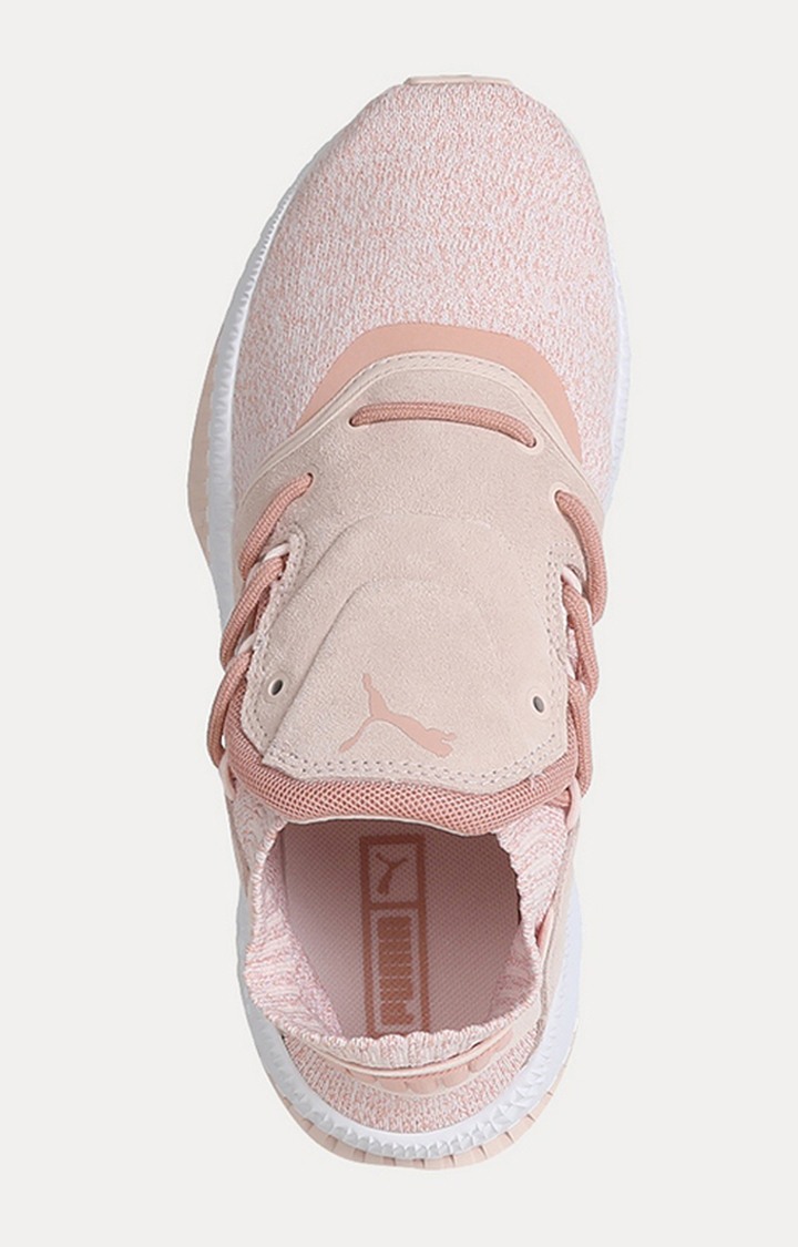 Puma tsugi shinsei evoknit online