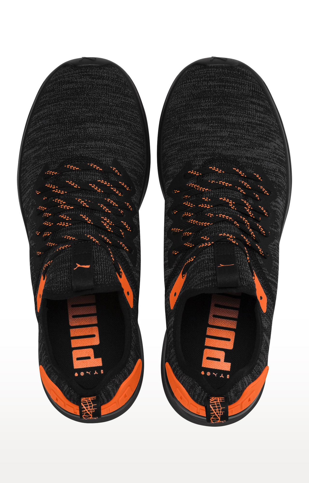 IGNITE Flash evoKNIT UNREST
