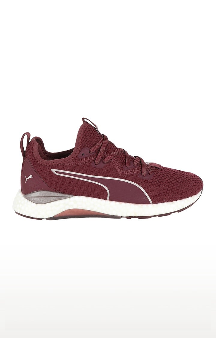 Maroon Sports Shoes