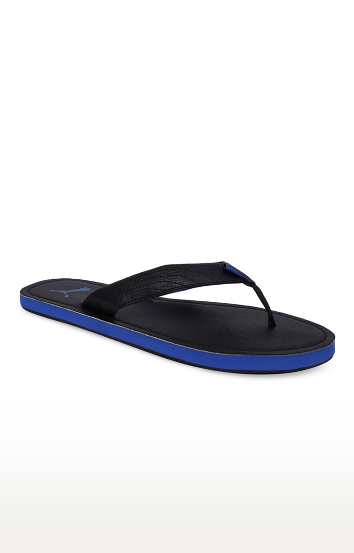 packer shoes 4d