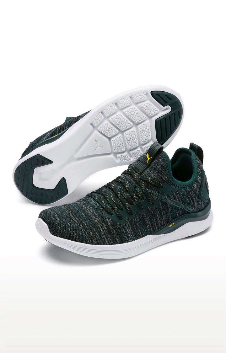 IGNITE Flash evoKNIT Jr Puma