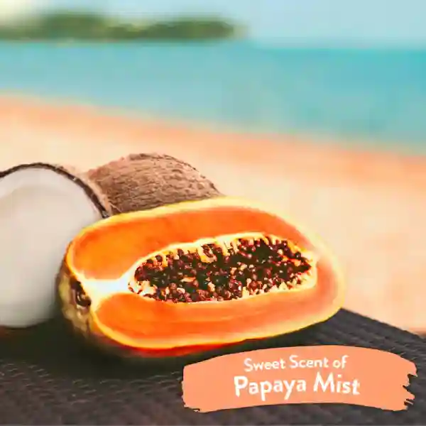 TropiClean Papaya Mist Freshening &amp; Deodorizing Pet Spray - 236 ml