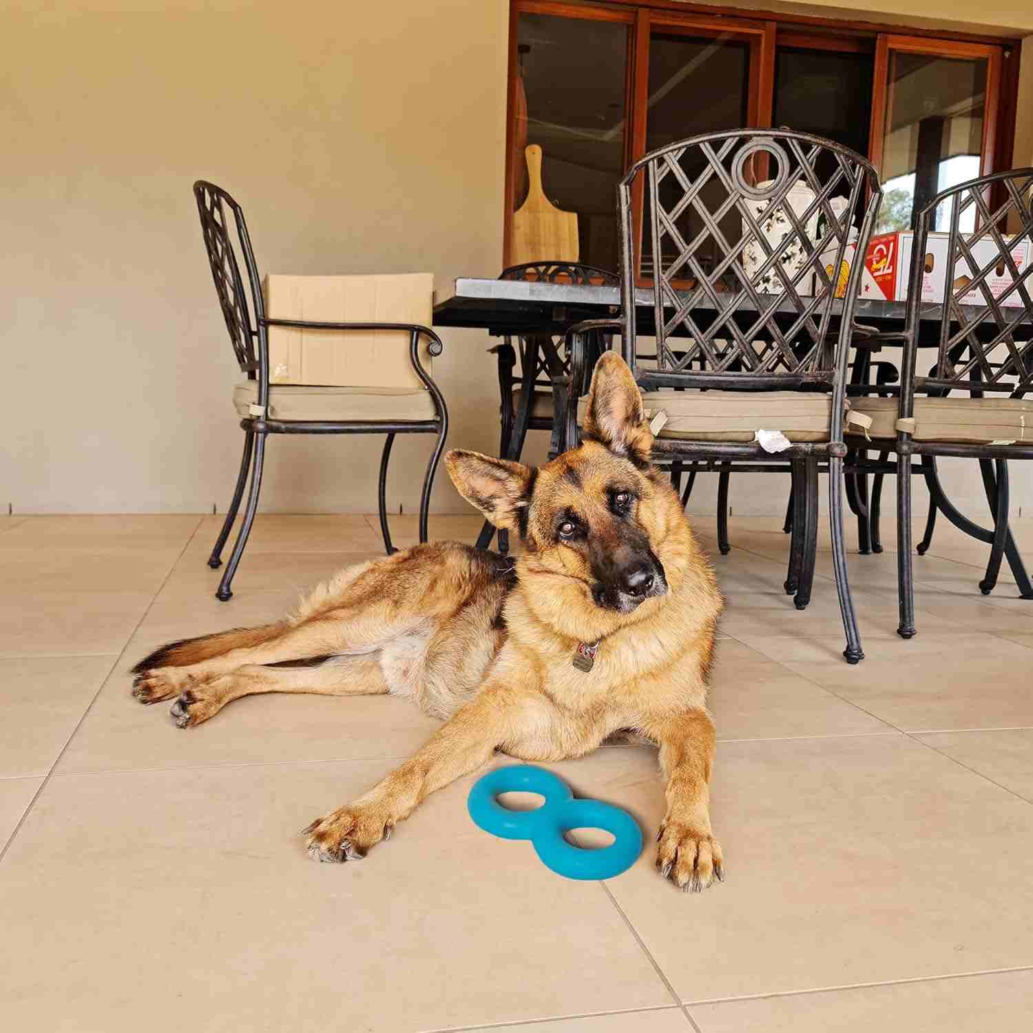 Barkbutler Crazy Eight Dog Toy, Blue