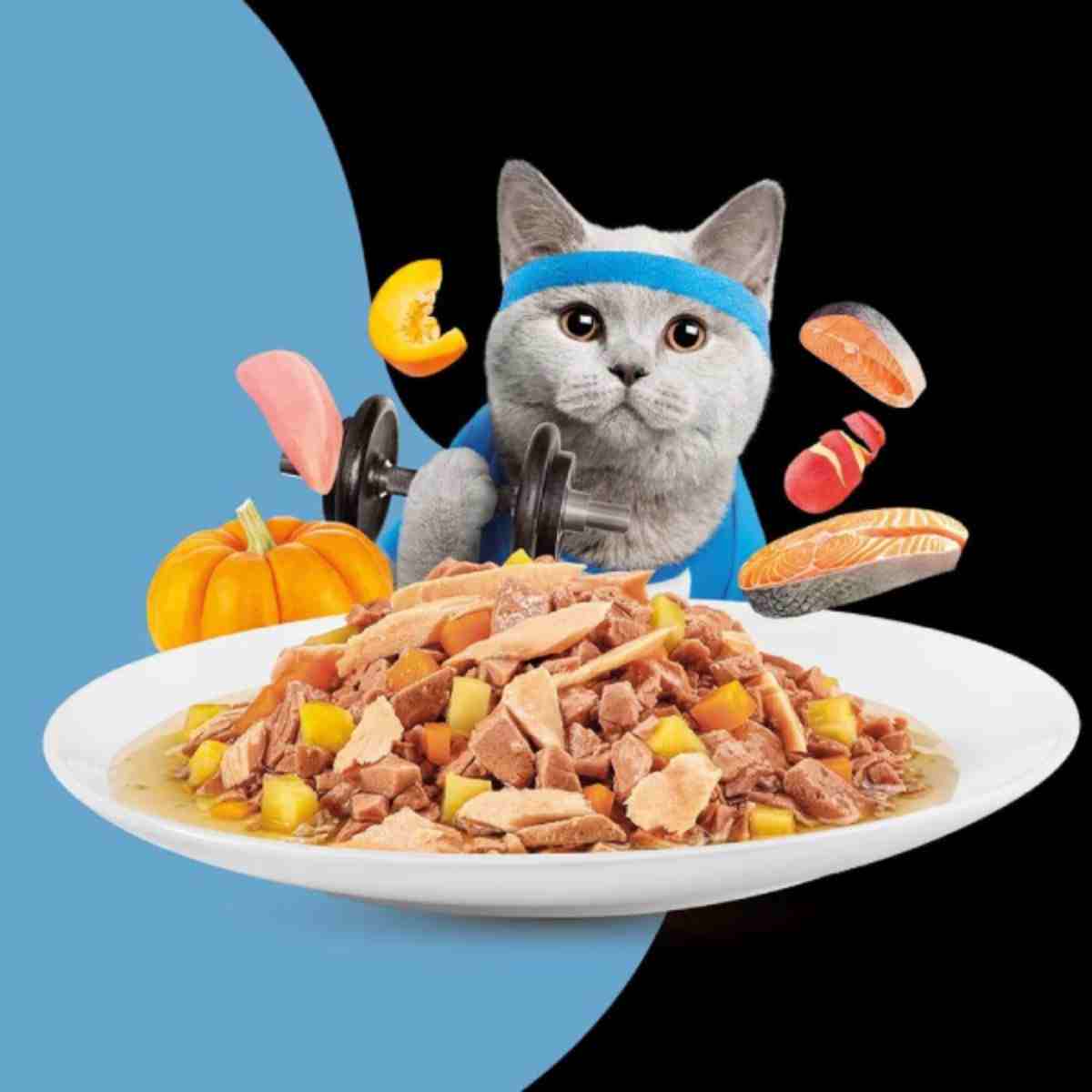 Moochie Mince With Salmon Weight Control Wet Cat Food - 85gm