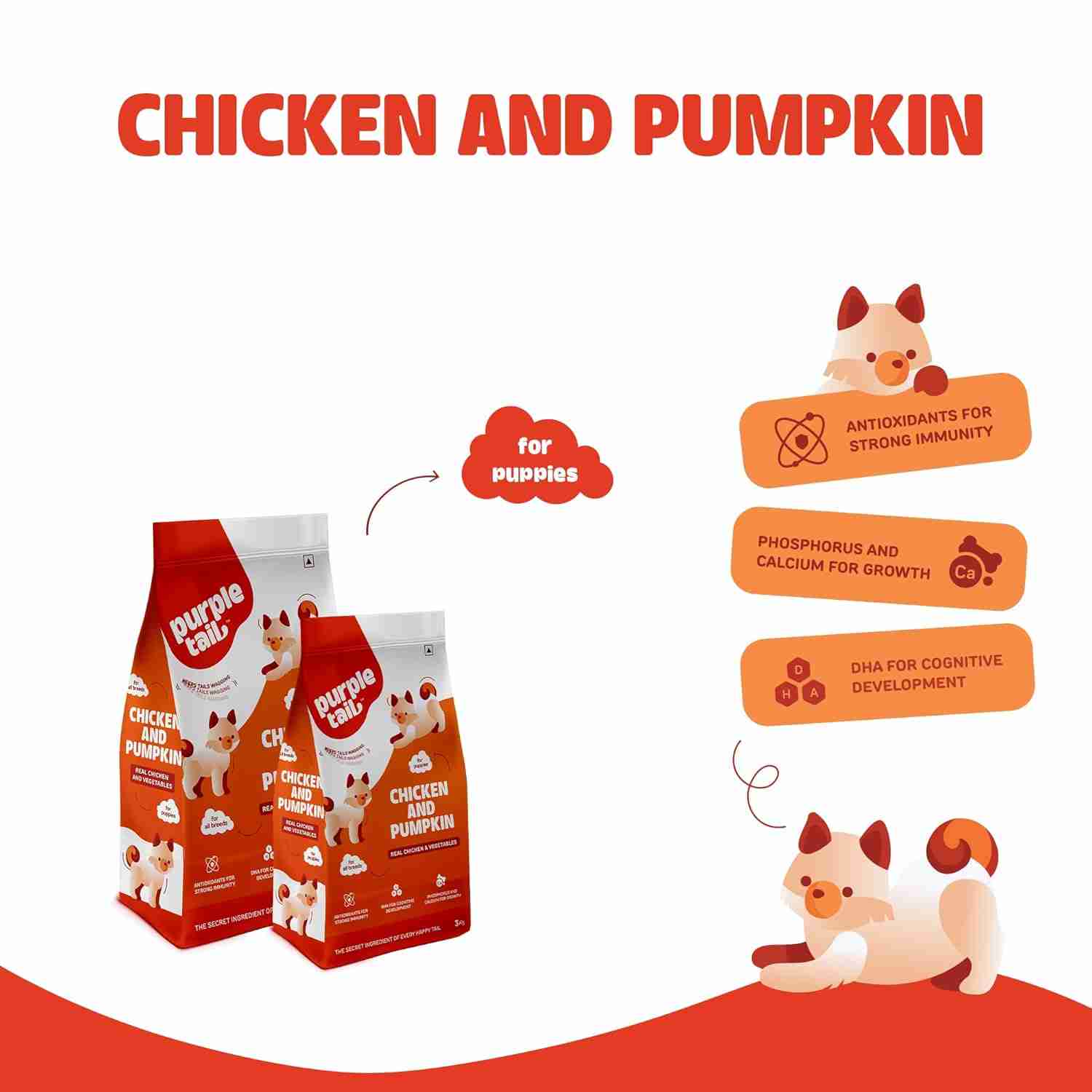 Purple Tail Chicken and Pumpkin Dry Food for Puppy