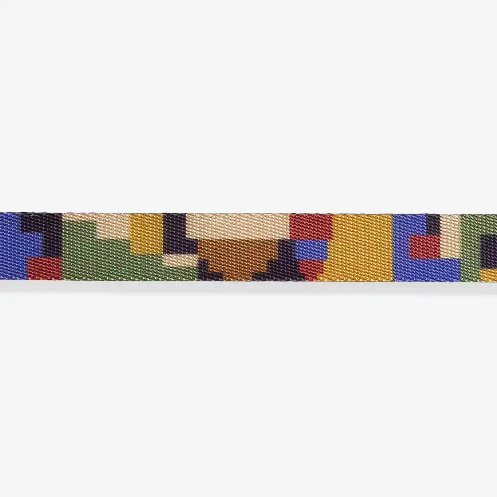 Zee.Dog Pixel Leash for Dogs