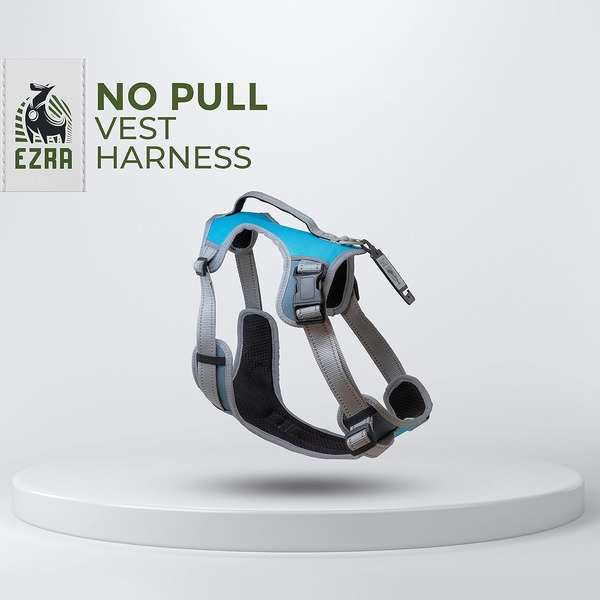 Ezra 2 x Sport No-Pull Dog Harness - Blue