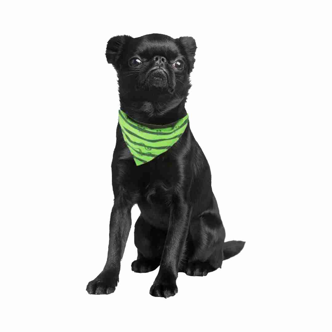 Trixie Collar with Neckerchief for Dogs, Apple Green