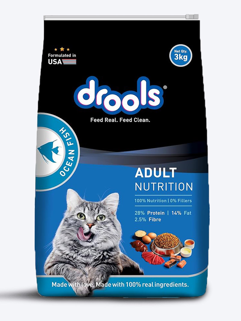 Drools Ocean Fish Adult Cat Dry Food