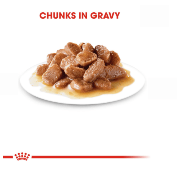 Royal Canin Hairball Wet Cat Food, 85g