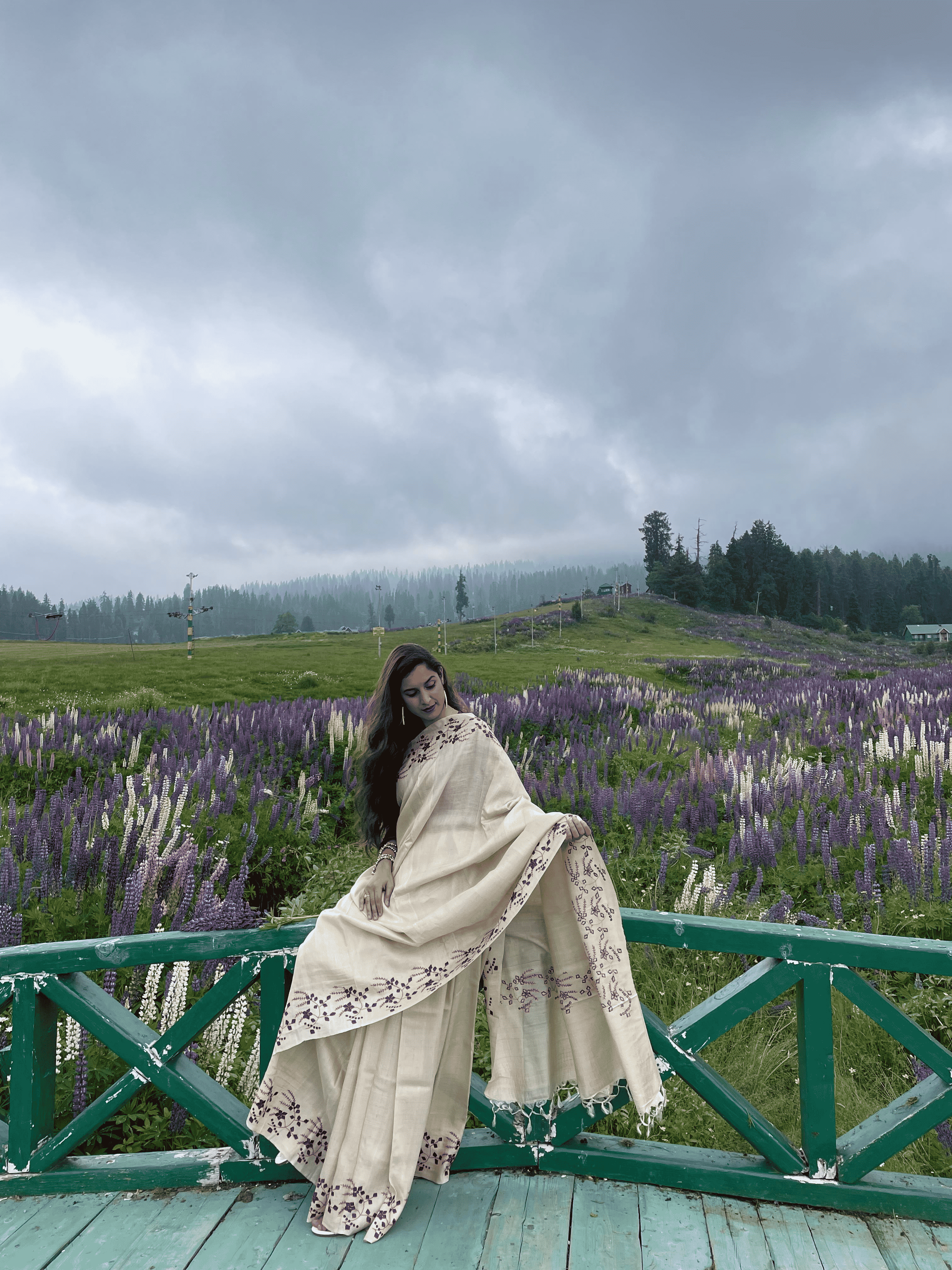 Sozni Silk Saree