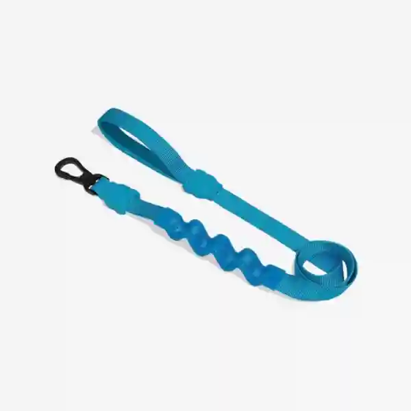 Zee Dog Ultimate Blue Ruff Leash