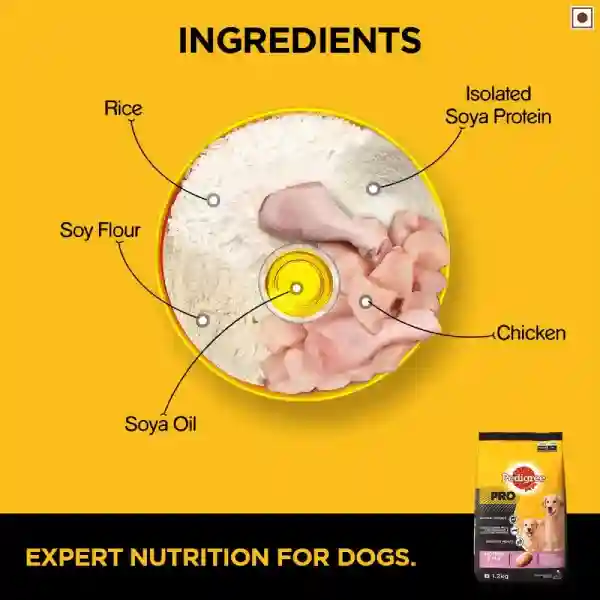 Pedigree Starter Pro Nutri Defense With Milk Pregnant/ Lactating Large Breed Mothers &amp; Pups (3-12 Weeks) Dry Dog Food