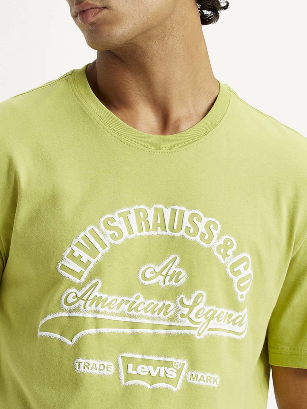 LEVIS MENS T-SHIRT H/S A7973-0176