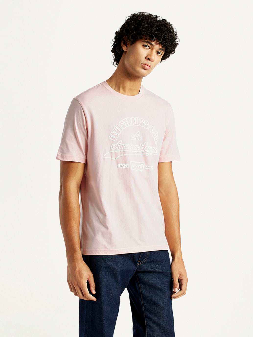 LEVIS MENS T-SHIRT H/S A7973-0177