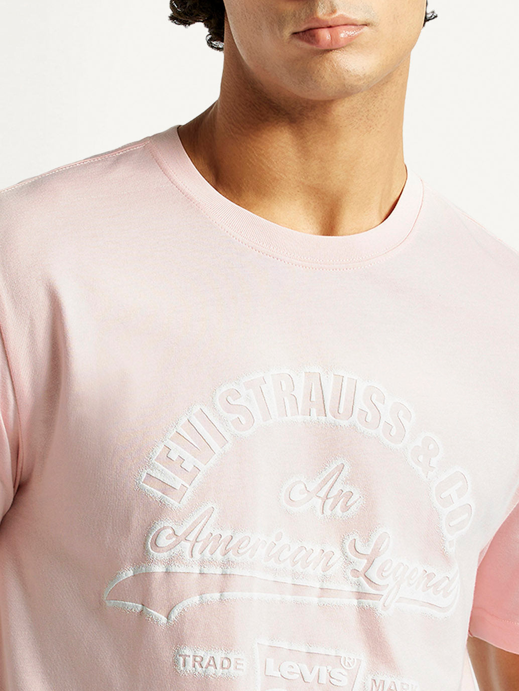 LEVIS MENS T-SHIRT H/S A7973-0177