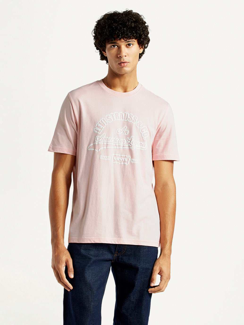 LEVIS MENS T-SHIRT H/S A7973-0177