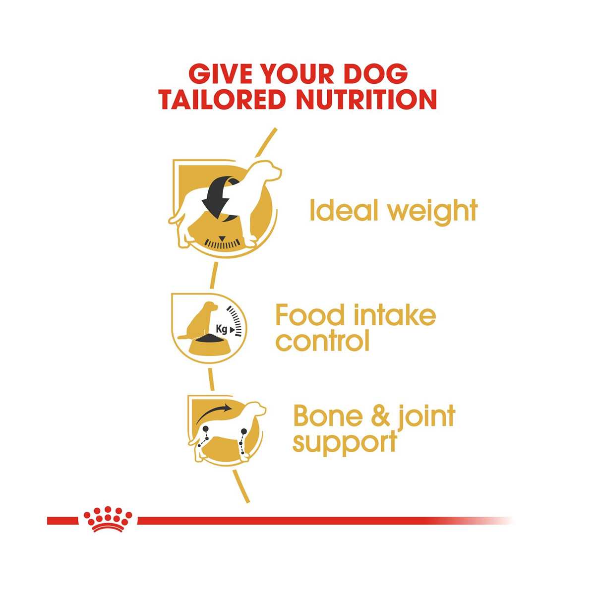 Royal Canin Beagle Adult Dry Dog Food - 3 Kg