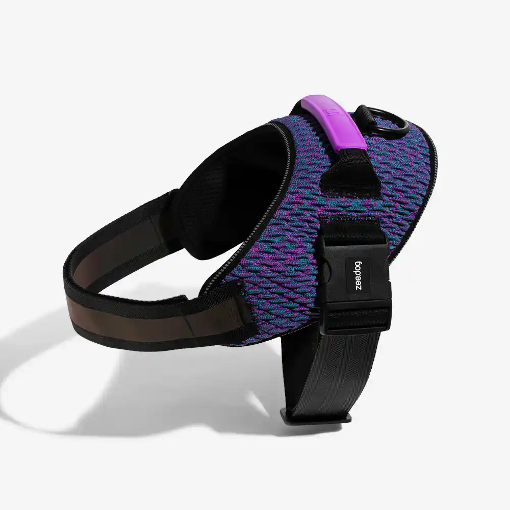 Zee.Dog Fly Harness Wicked for Dogs