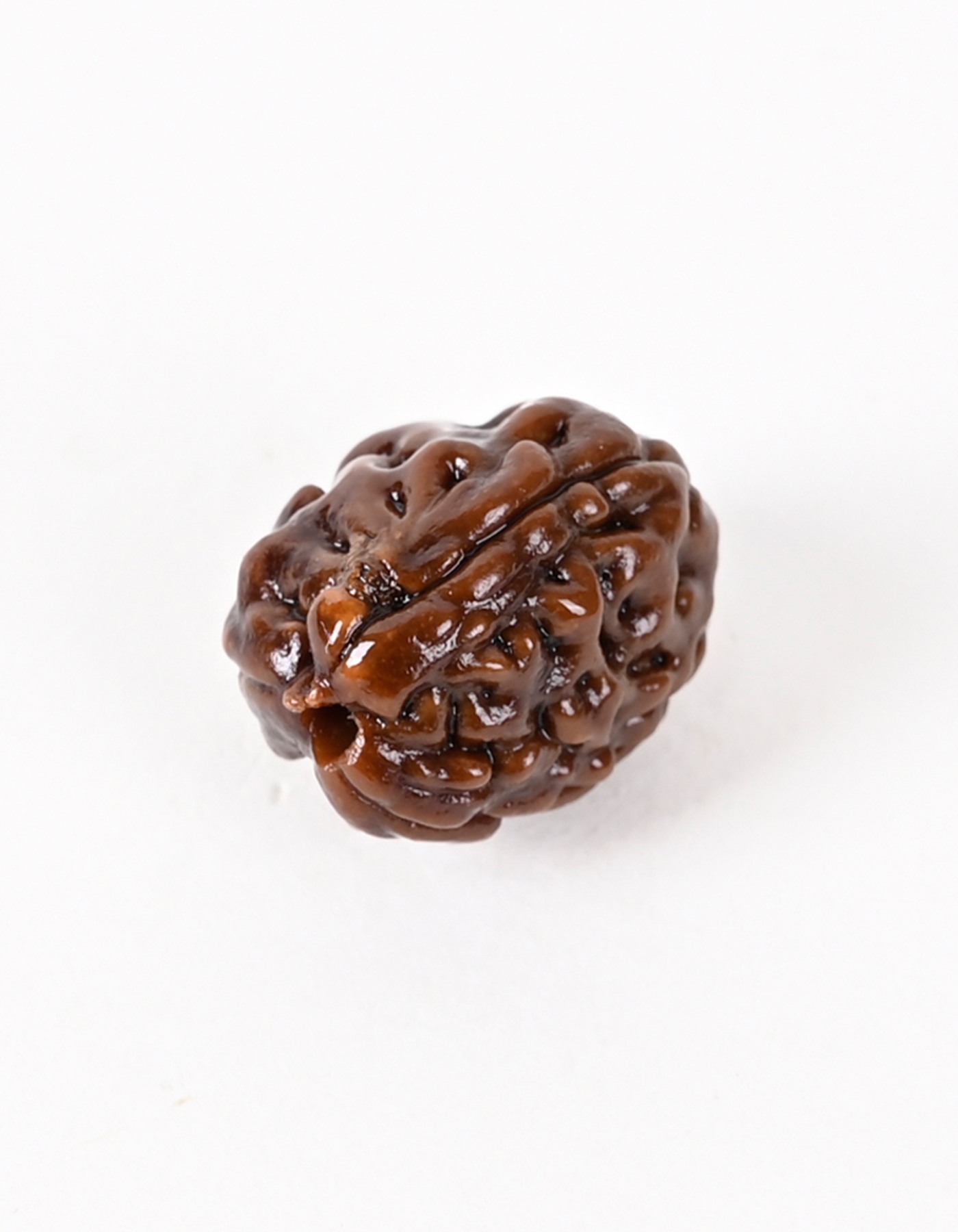 3 Mukhi Indonesia Quality Rudraksha Bead- Enhances Self-Confidence & Removing Negativity I 100% Natural & Genuine Quality - Lab Certified