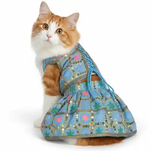 PawsIndia Traditional Desi Diva Lehenga Choli Set For Cat, Sky Blue | Ethnic Festive Wear