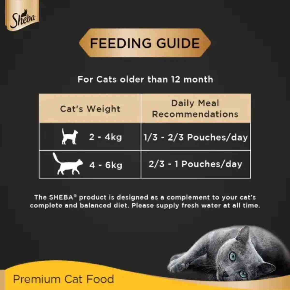 Sheba Rich Premium Tuna Pumpkin & Carrot In Gravy Wet Cat Food - 70 gm