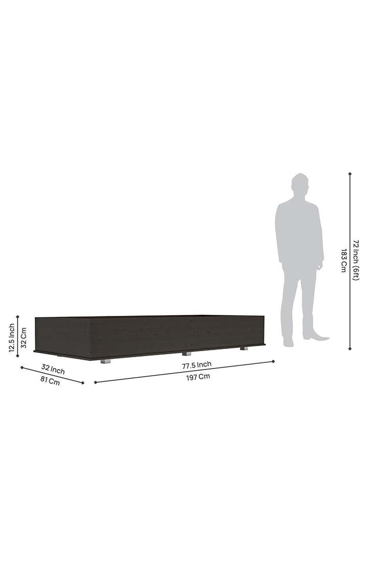 neudot Unique Engineered Wood Diwan Bed with Box Stoarge (Finish Color -WENGE)