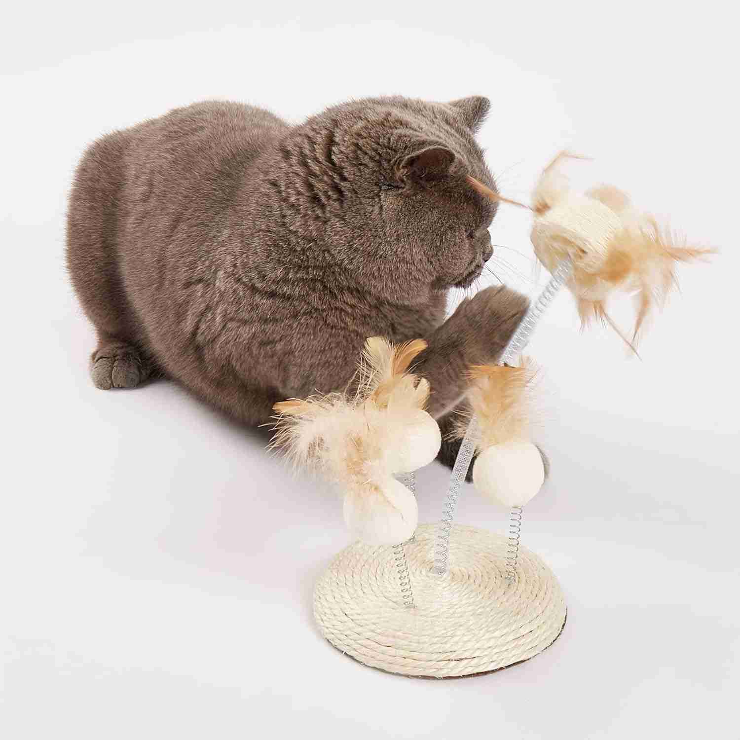 Barkbutler Fofos Interactive Natural Wobbler Teaser Toy for Cats