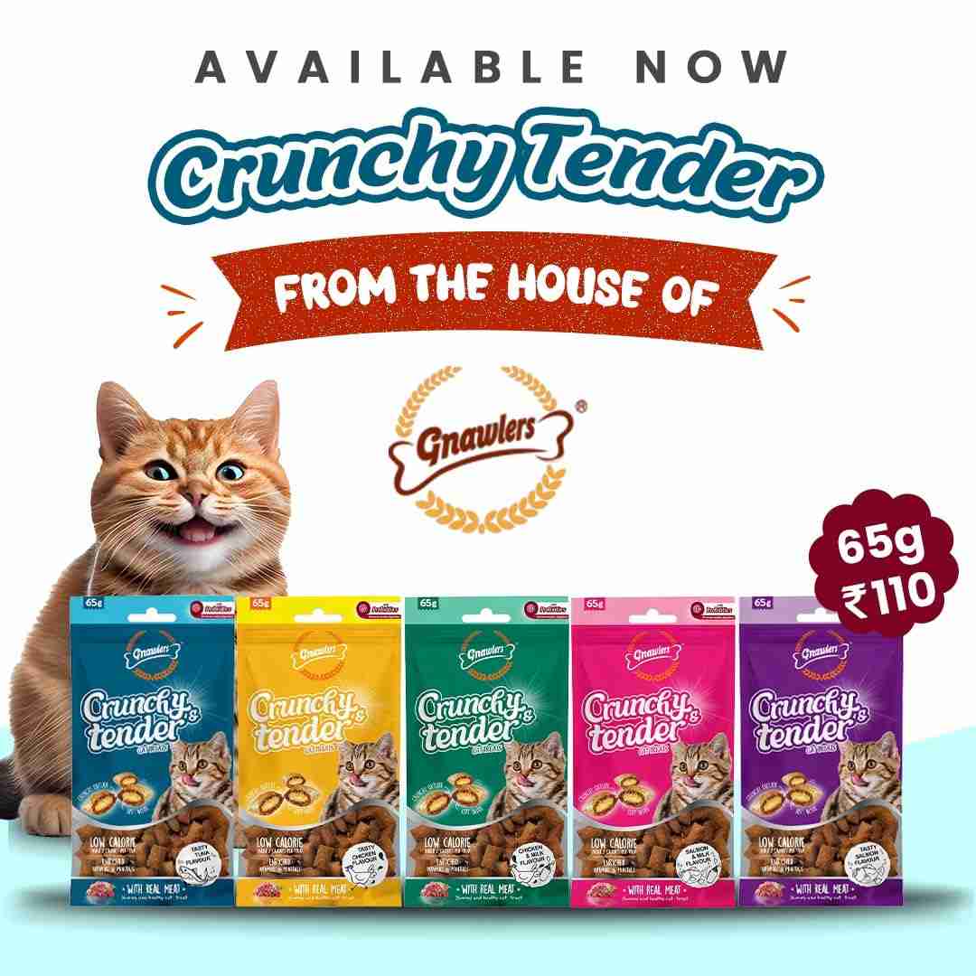 Gnawlers Crunchy & Tender Tasty Chicken Flavour for Cats, 65 gm