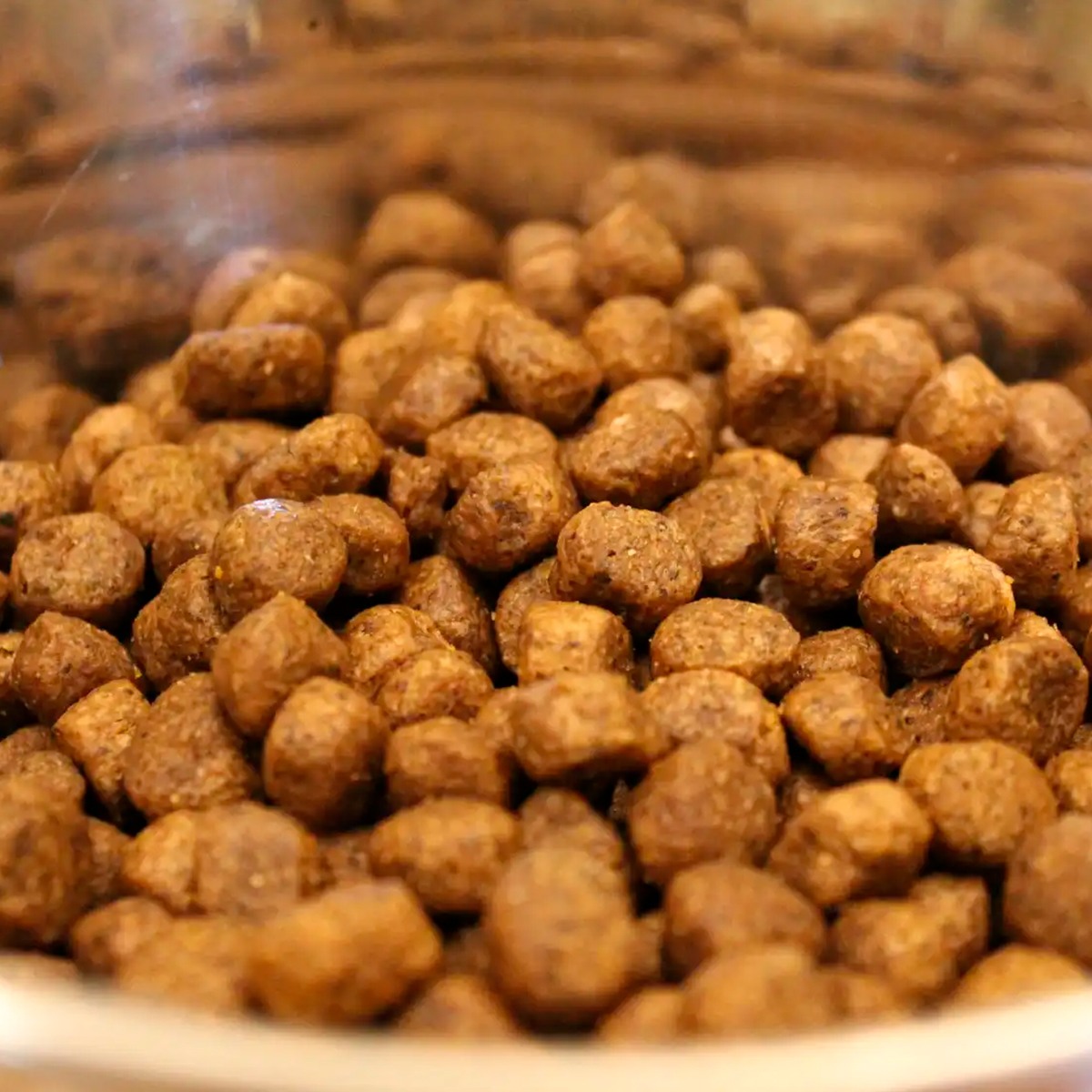 Acana Light and Fit Dry Dog Food