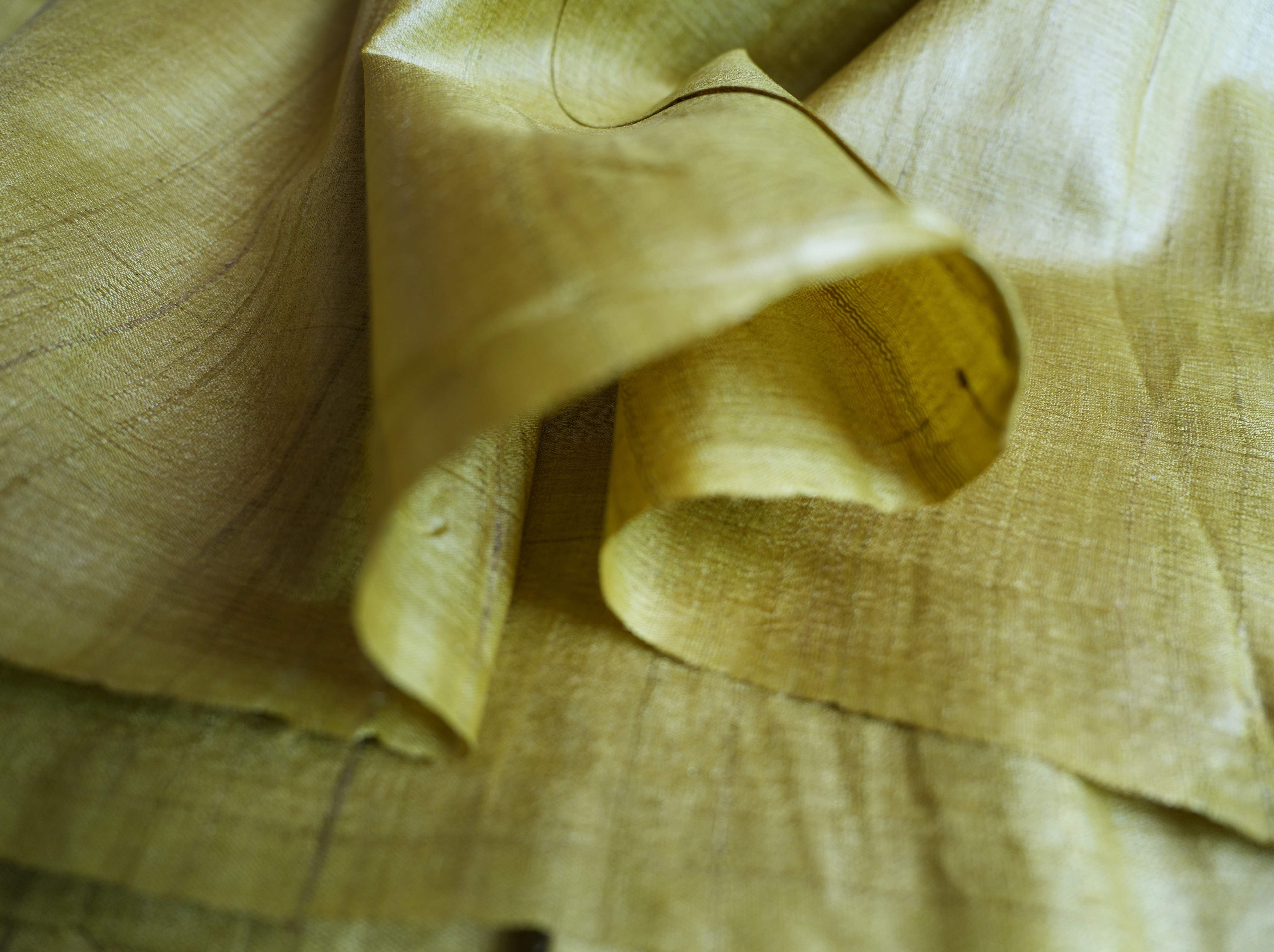 Tussar Fabric